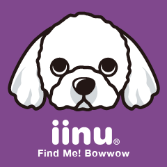 [LINEスタンプ] iinu マルチーズ 