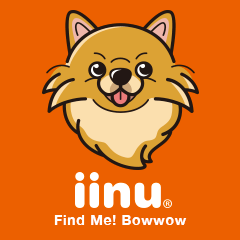 [LINEスタンプ] iinu ポメラニアン 