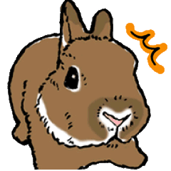 [LINEスタンプ] うさぎのしぐさ図鑑（英語版） 
