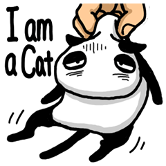 [LINEスタンプ] ねこパンダ 