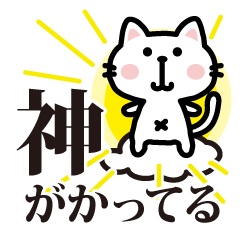 [LINEスタンプ] 白猫参上2ほめ上手な猫【プチアニマル⑰】 