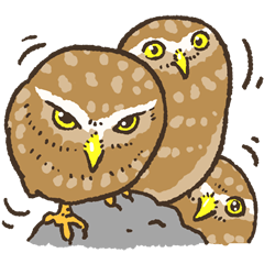 [LINEスタンプ] 猛禽類スタンプ（フクロウ,ワシ,鷹,etc.） 