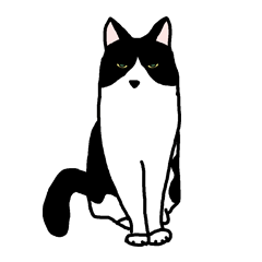 [LINEスタンプ] 猫はあまりしゃべらない(ハチワレ) fetchpriority=high