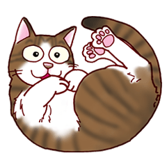 [LINEスタンプ] ネコ兄妹の日々 fetchpriority=high