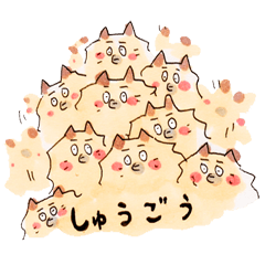 [LINEスタンプ] ポメラニアン じゅんこ 