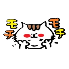 [LINEスタンプ] もちねこ君 1 