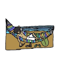 [LINEスタンプ] Surfing is a Lifestyle 