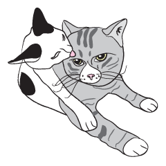 [LINEスタンプ] Chi ＆ Polkadot cat