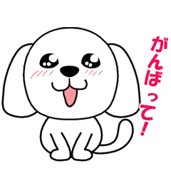 [LINEスタンプ] マルチーズの麻瑠(マル)ちゃん 