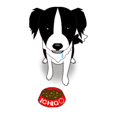[LINEスタンプ] ボーダーコリーのいちご