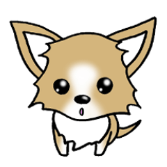 [LINEスタンプ] チワワ 犬スタンプ fetchpriority=high