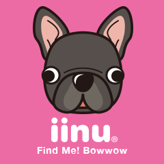 [LINEスタンプ] iinu フレンチ・ブルドッグ 