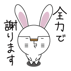[LINEスタンプ] 兎に角謝る fetchpriority=high
