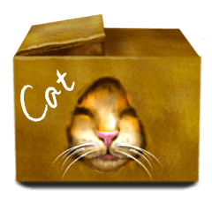 [LINEスタンプ] オレンジ猫「ロキ」の成長期 