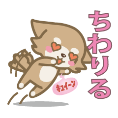 [LINEスタンプ] チワワのちわりる 