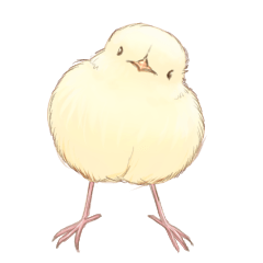 [LINEスタンプ] ひよこのPさん 
