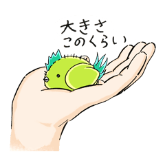 [LINEスタンプ] こけ 