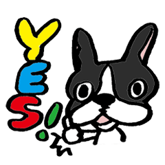 [LINEスタンプ] Jam！フレンチブルドッグのジャム 