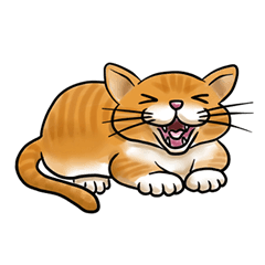 [LINEスタンプ] ねこめっせ 