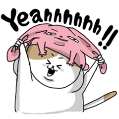 [LINEスタンプ] うさ帽子とねこ 