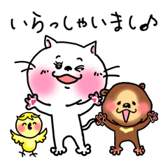 [LINEスタンプ] ニャーチ挨拶日常会話 ねこ・くま・ひよこ fetchpriority=high