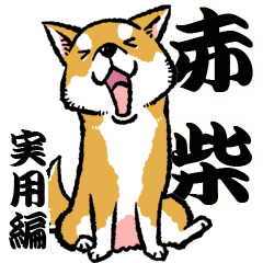 [LINEスタンプ] 柴犬スタンプ4～赤柴～実用編