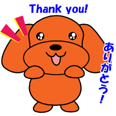 [LINEスタンプ] トイプードルのトミー 