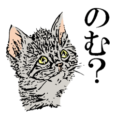 [LINEスタンプ] イヌネコはんこ風 