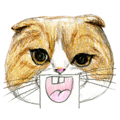 [LINEスタンプ] Hey！ にゃんこ！ 