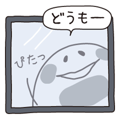 [LINEスタンプ] しろたさん 