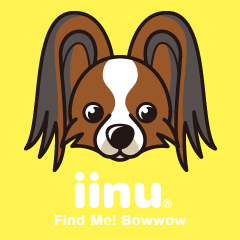 [LINEスタンプ] iinu パピヨン 