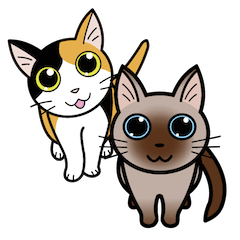 [LINEスタンプ] 9LIVES（ナインライヴス） 