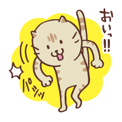[LINEスタンプ] 5にゃんこ+1 ツッコミVer fetchpriority=high
