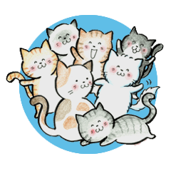 [LINEスタンプ] 猫ねこいっぱい