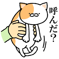 [LINEスタンプ] 猫にやらせてみた。 