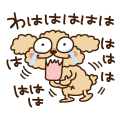 [LINEスタンプ] トイプーのぷう太郎 その4 
