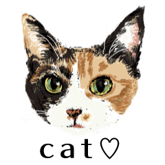 [LINEスタンプ] 61匹の猫 