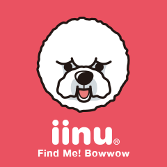 [LINEスタンプ] iinu ビション・フリーゼ 