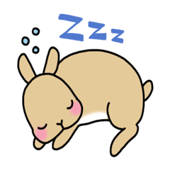 [LINEスタンプ] うさぎのはなちゃん 