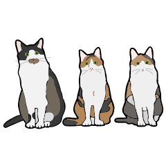 [LINEスタンプ] 猫のスタンプ