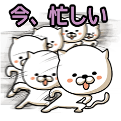 [LINEスタンプ] 俊敏すぎるネコ。 