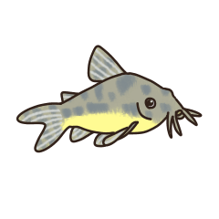 [LINEスタンプ] コリドラスの日常