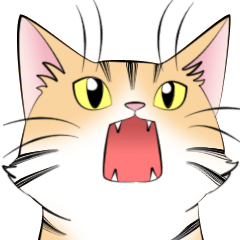[LINEスタンプ] ねこの仕草あれこれ 