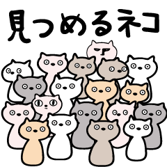 [LINEスタンプ] 見つめるネコ 