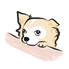 [LINEスタンプ] チワワのバウシュ 
