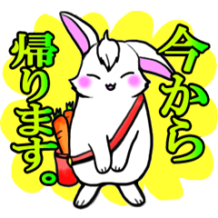 [LINEスタンプ] まえがみうさぎ2【敬語の便利スタンプ】 fetchpriority=high