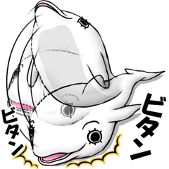 [LINEスタンプ] マツゲの白イルカ 