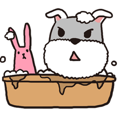[LINEスタンプ] schnauzer's daily life