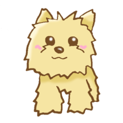 [LINEスタンプ] ヨークシャー・テリア     犬スタンプ 