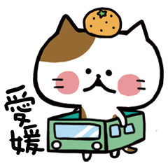 [LINEスタンプ] 愛媛のにゃんこさん 